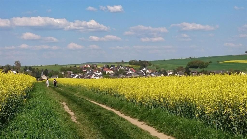 Ferienwohnung Maifeld 维尔舍姆 外观 照片