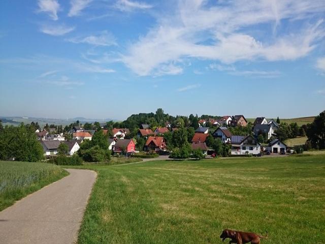 Ferienwohnung Maifeld 维尔舍姆 外观 照片
