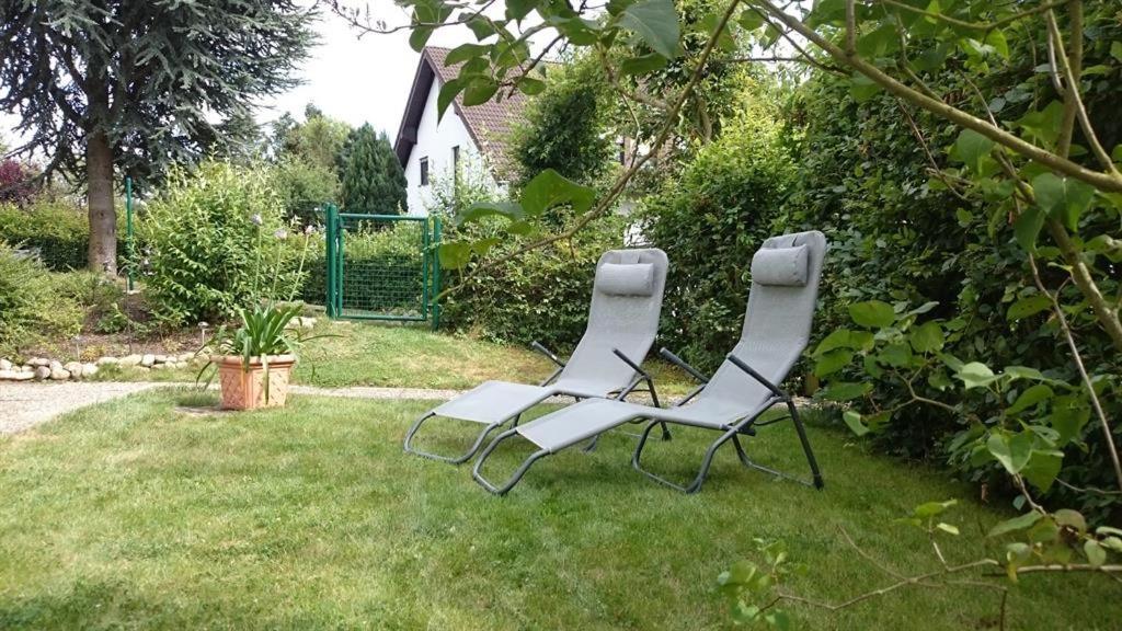 Ferienwohnung Maifeld 维尔舍姆 外观 照片